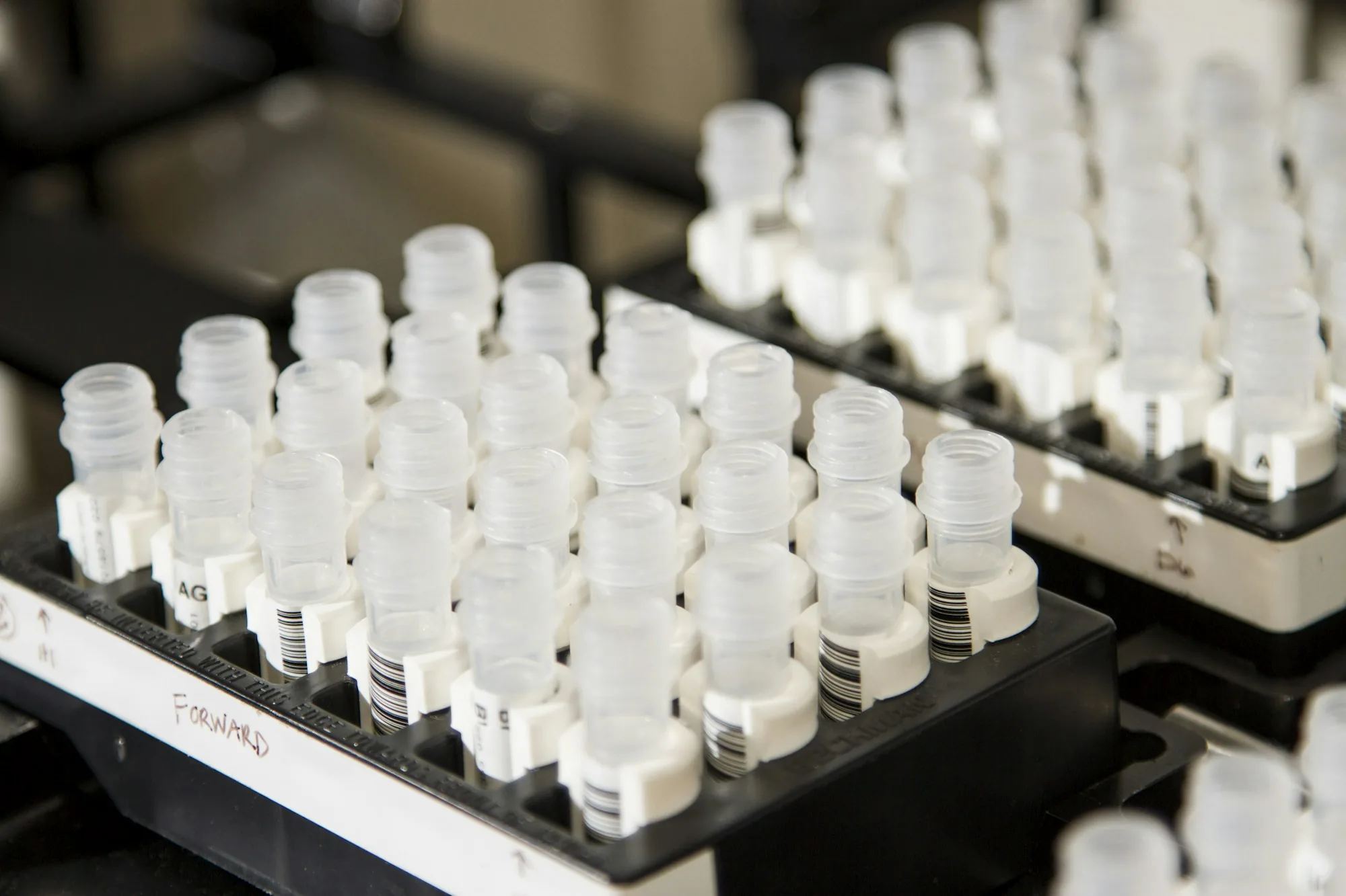 Water sample vials lined up in a rack during a hardness and iron test